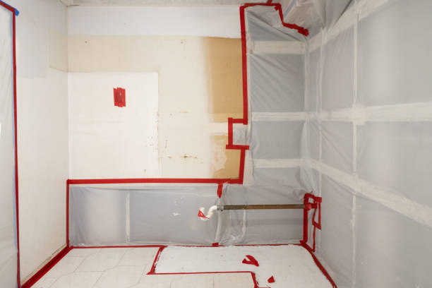 Best Emergency Mold Remediation  in USA